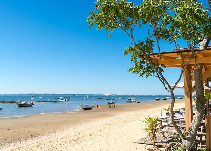 Aquitania-5 By Interhome Lejlighed